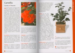 Pollice Verde — Libro - 6