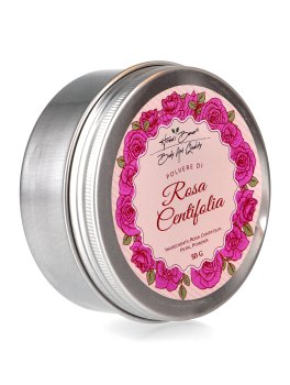 Polvere di Rosa Centifolia - 1
