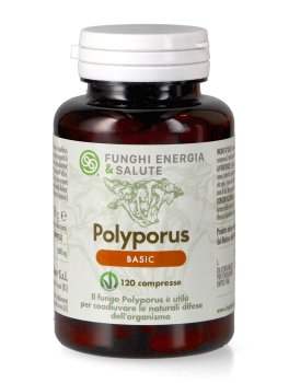 Polyporus Basic - 1