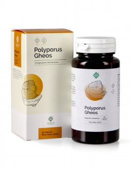Polyporus Gheos - 4