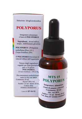 Polyporus Gocce - MTS15 - 2