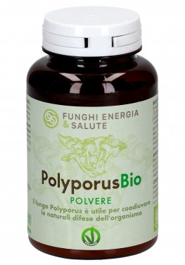 Polyporus Polvere Bio - 1