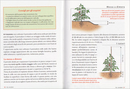 Pomodori e Pomodorini — Libro - 3