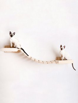 Ponte Tibetano per Gatti - 10