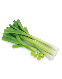 Semi di Porro Carentan 10 gr.