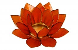 Portalumino Fior di Loto - 2