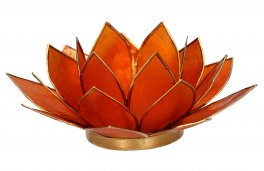 Portalumino Fior di Loto - 1