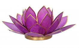 Portalumino Fior di Loto - 1