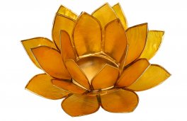 Portalumino Fior di Loto - 2