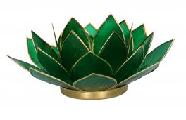 Portalumino Fior di Loto - 1