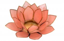 Portalumino Fior di Loto - 2