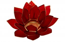 Portalumino Fior di Loto - 2