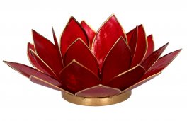 Portalumino Fior di Loto - 1