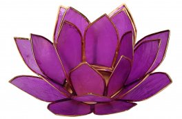 Portalumino Fior di Loto - 2