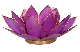 Portalumino Fior di Loto - 1