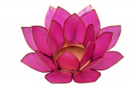 Portalumino Fior di Loto - 2