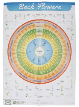 Poster i Fiori di Bach — Poster - 2