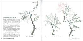 Potatura dell'Ulivo — Libro - 3