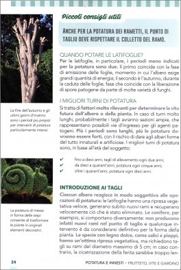 Potatura e Innesti — Libro - 3