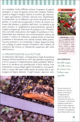Potatura e Innesti — Libro - 4