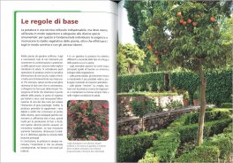 Potatura e Riproduzione in Giardino - 3