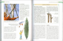 Potatura e Riproduzione in Giardino — Libro - 3