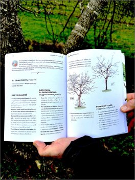 Potatura Facile — Libro - 2