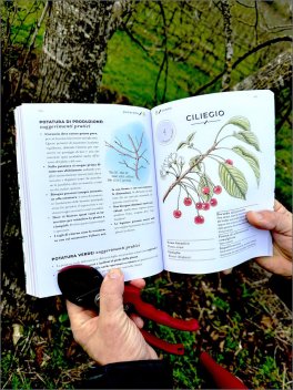 Potatura Facile — Libro - 3
