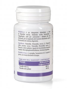 Potentilla - 3