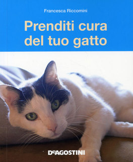 Prenditi Cura del Tuo Gatto 