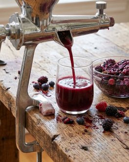 Pressa Manuale per Frutta e Verdura "Solido" - 7