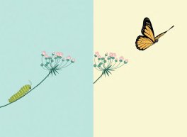 Prima Dopo — Libro - 6