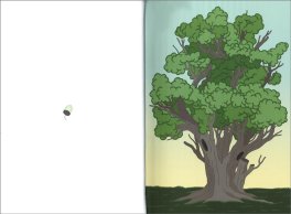 Prima Dopo — Libro - 5