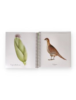Primavera, Estate, Autunno, Inverno — Libro - 3
