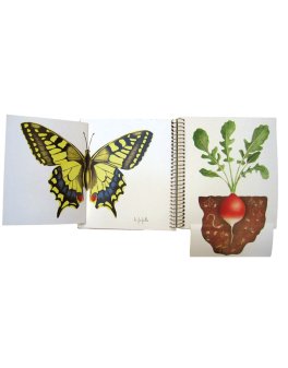 Primavera, Estate, Autunno, Inverno — Libro - 4