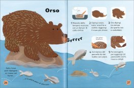 Prime Attività Creative - Animali — Libro - 3