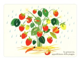 Primi Incontri — Libro - 3