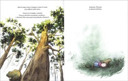 Primula — Libro - 3