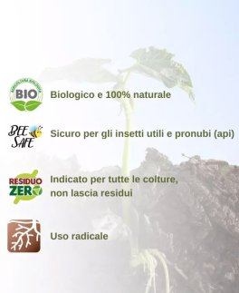 Pro Byotic - Pre e Probiotico Bio per Suolo e Piante - 3