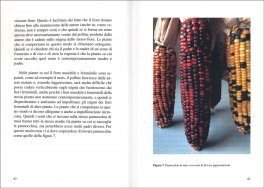 Produciamo i nostri Semi — Libro - 3
