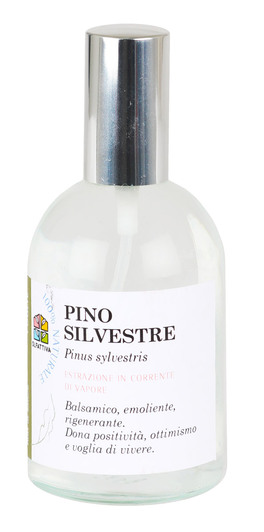 Profumo - Essenza Pino Silvestre