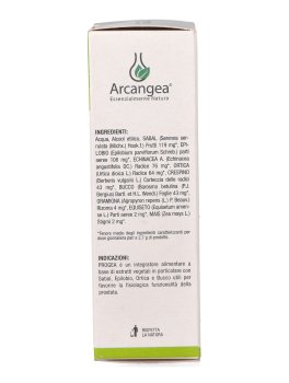 Progea Miscela di Macerati - 5