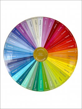 Programmazione Neuro Quantistica® - Le Qualità dell'Anima Evocate dai Fiori di Bach — Poster - 2