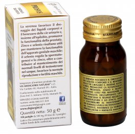 Prosvis - 2