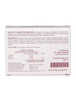 Psicobrain - 2