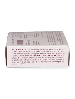 Psicobrain - 3