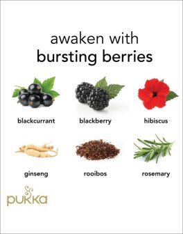 Pukka Morning Berry - Tisana Pukka Bio - 6