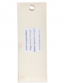 Pulisci Lingua - Nettalingua - 2