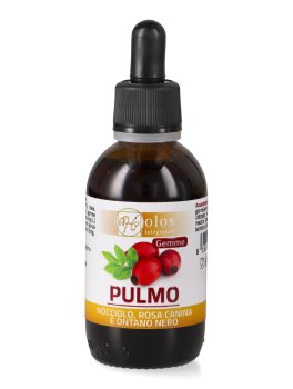Pulmo Gemme - Gocce 50 ml - 1