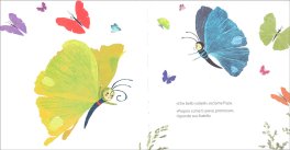Pupa — Libro - 2